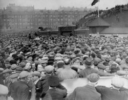 hampdenpark.jpg